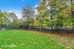 Photo 11- click for photo gallery